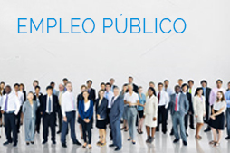 EMPLEO PÚBLICO